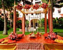 Royal Weddings & Honeymoon
